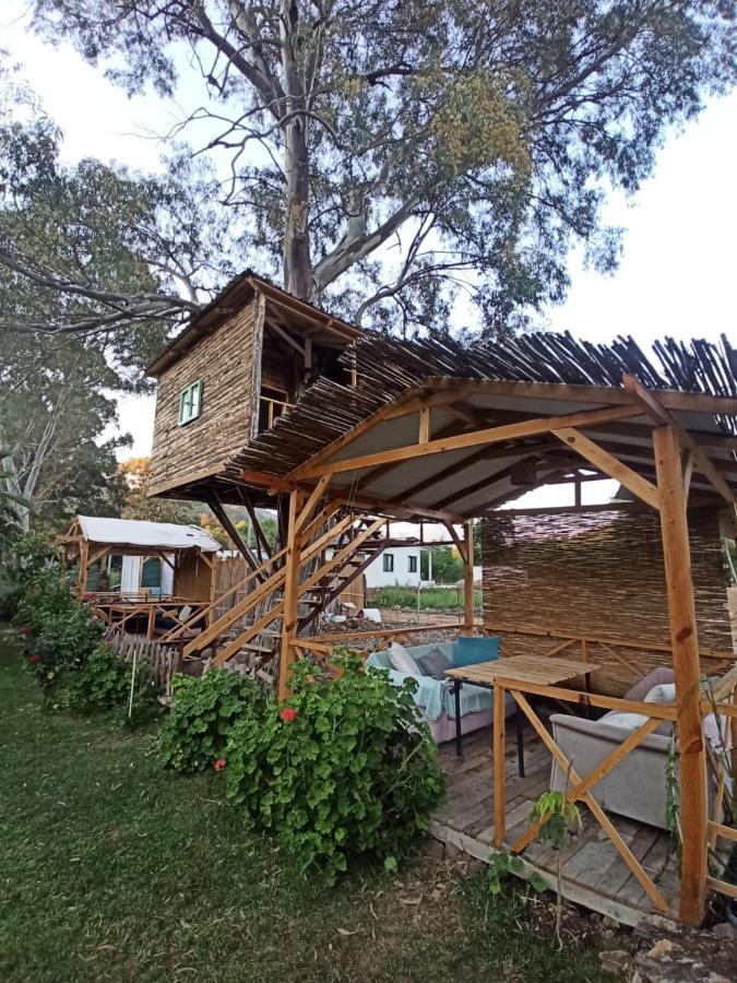 Daidala Life Bed & Breakfast Göcek Dış mekan fotoğraf