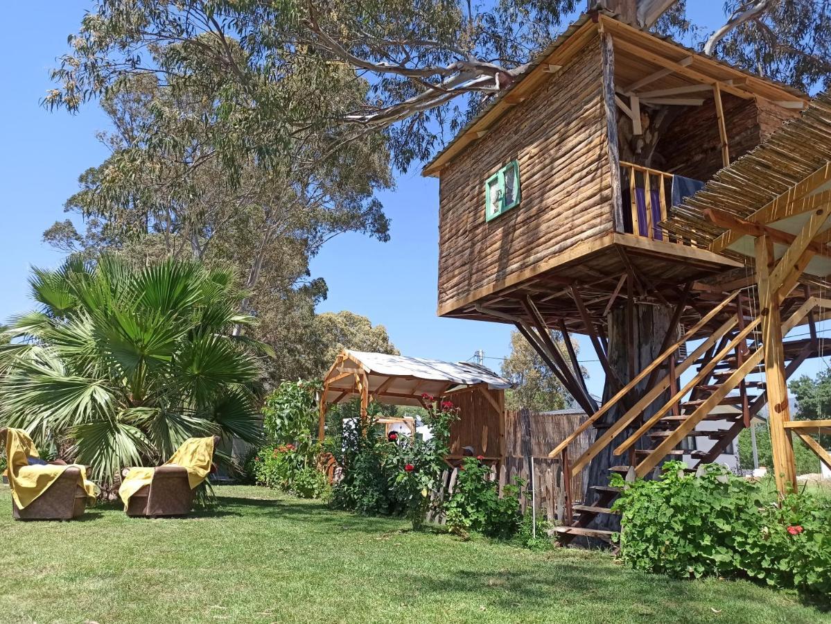 Daidala Life Bed & Breakfast Göcek Dış mekan fotoğraf