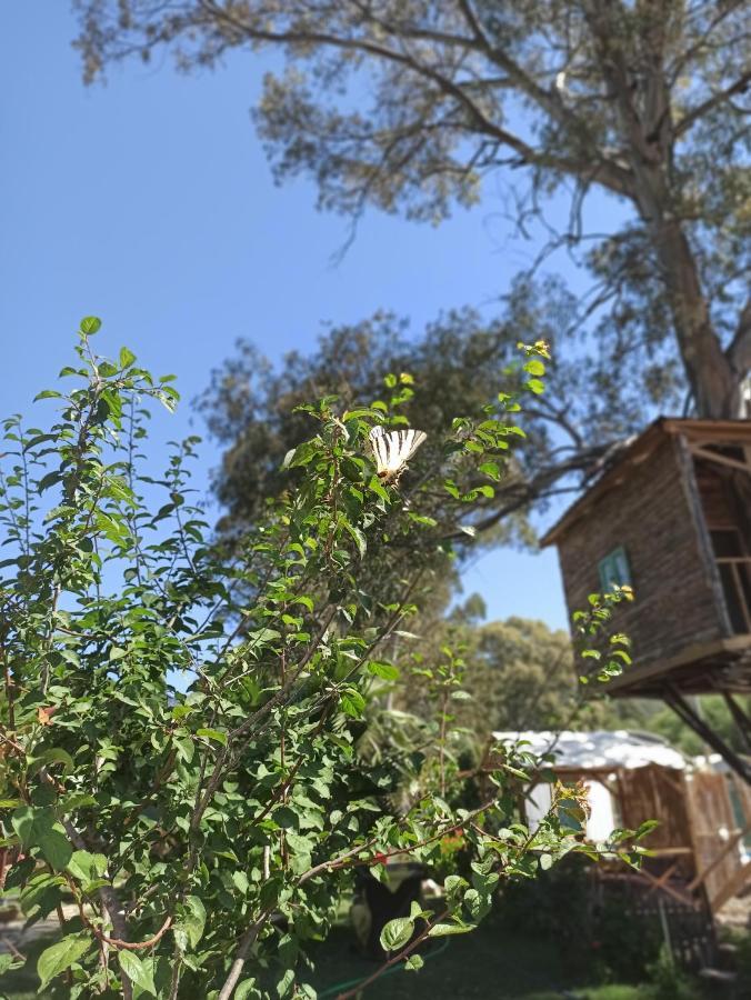 Daidala Life Bed & Breakfast Göcek Dış mekan fotoğraf